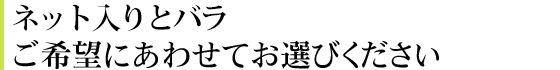 ネット入りバラ。ご希望にあわせてお選びください